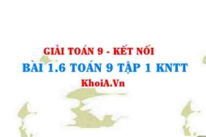 Bài 1.6 SGK Toán 9 tập 1 Kết nối tri thức